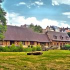 Arboretum de Conches en ouche