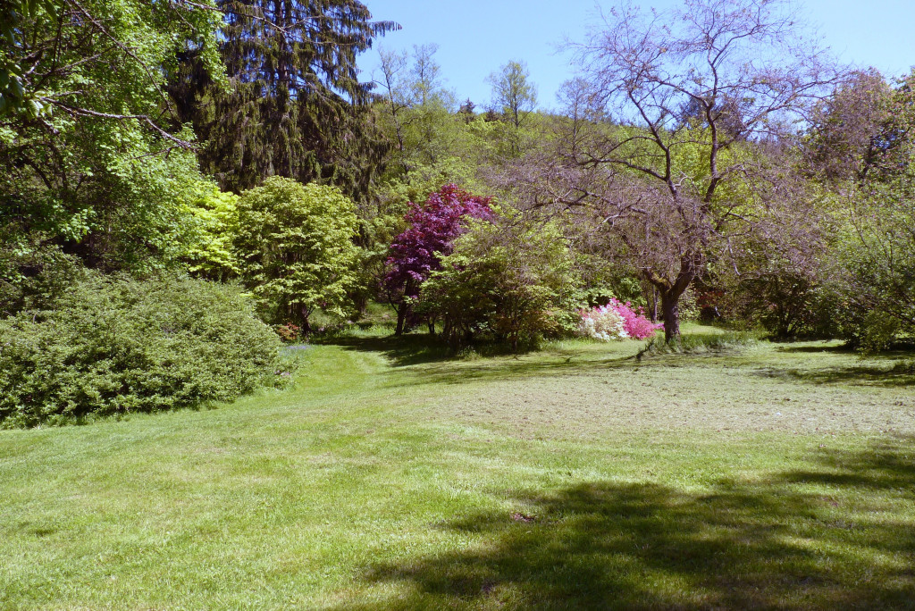 Arboretum de Rendeux