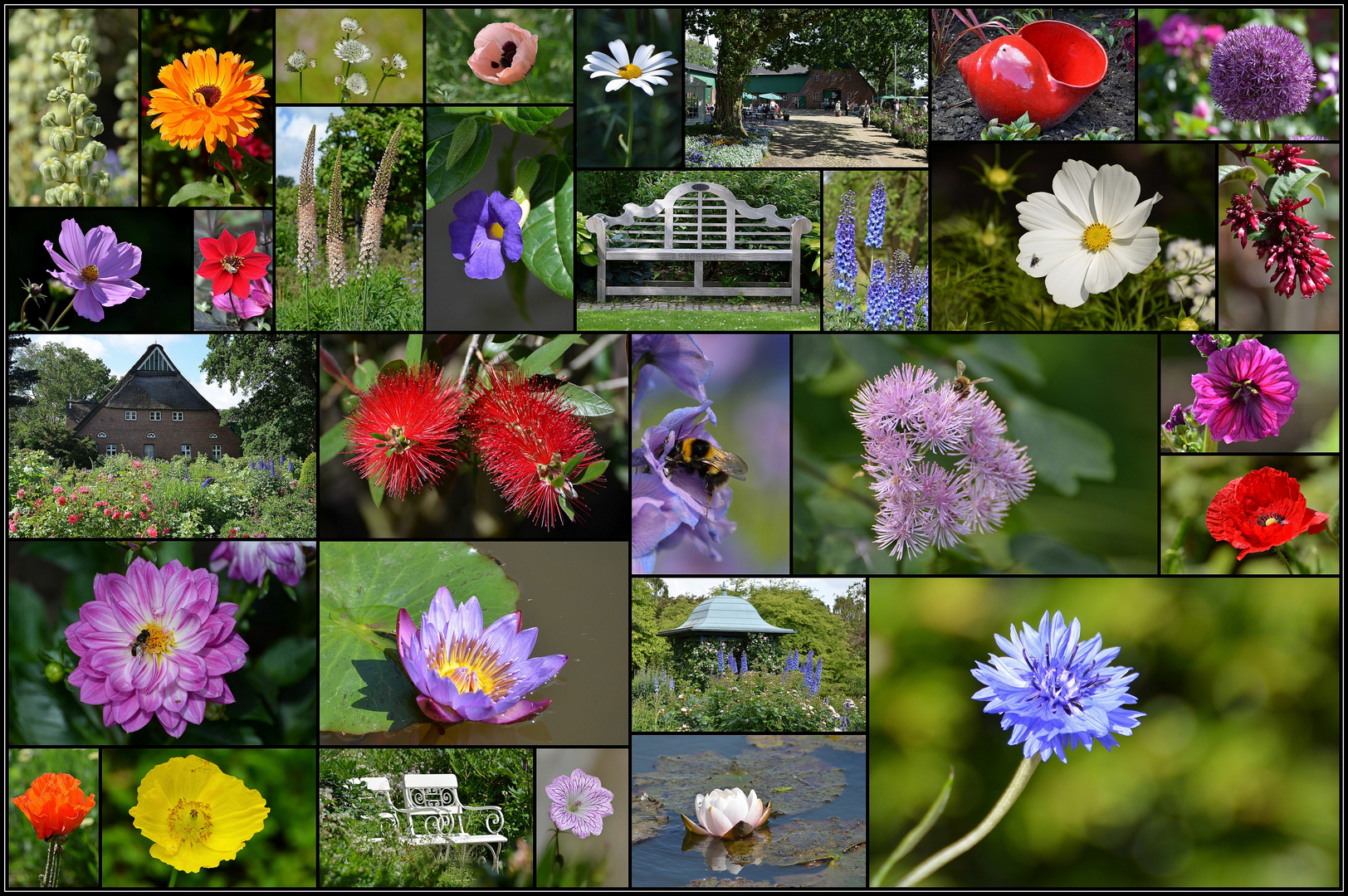 Arboretum Ellerhoop 2015 Foto & Bild natur, blumen, pflanzen Bilder