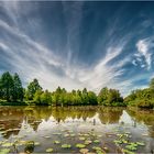 Arboretum Ellerhoop