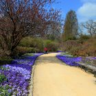 arboretum ellerhoop.