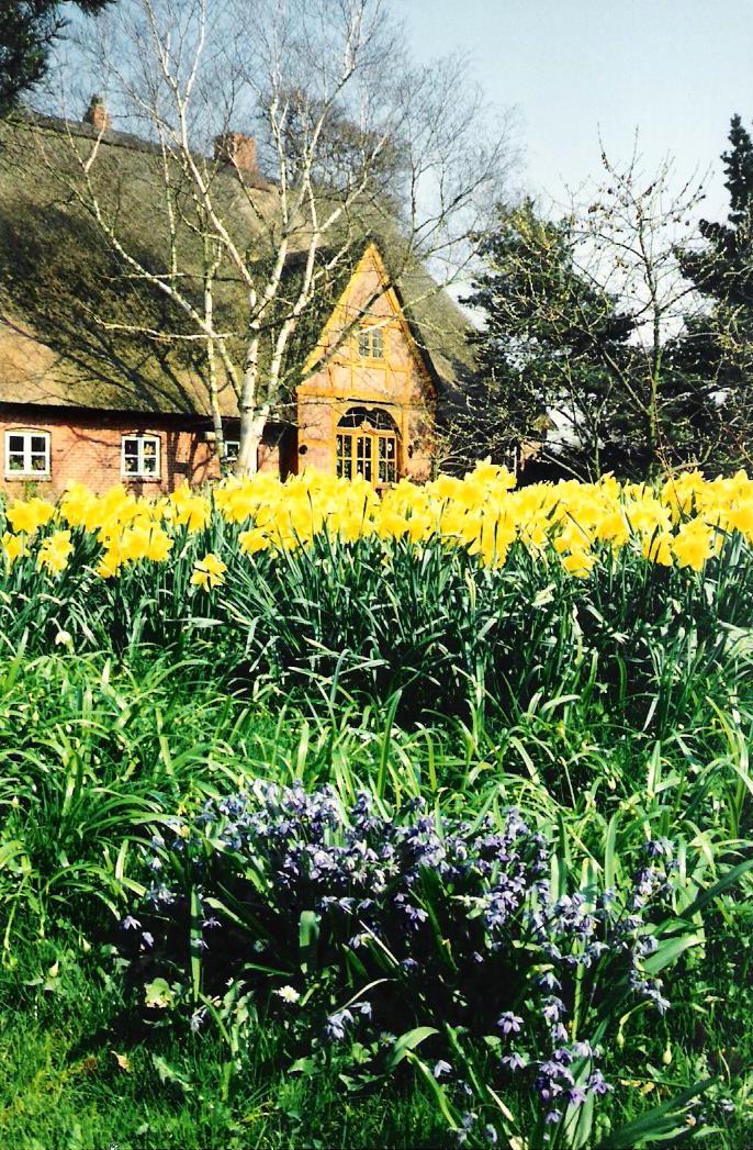 Arboretum Ellerhoop Foto & Bild jahreszeiten, frühling, schleswig