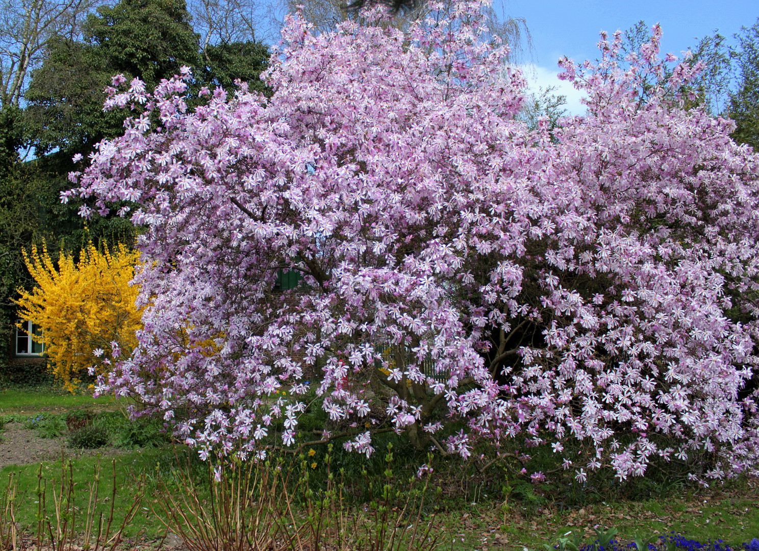 arboretum ellerhoop..