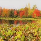 Arboretum Ellerhoop im Oktober 2017