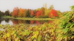 Arboretum Ellerhoop im Oktober 2017