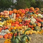 Arboretum Ellerhoop im Oktober 2017