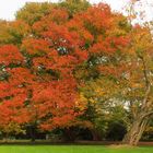 Arboretum Ellerhoop im Oktober 2017