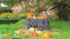 Arboretum Ellerhoop im Oktober 2017