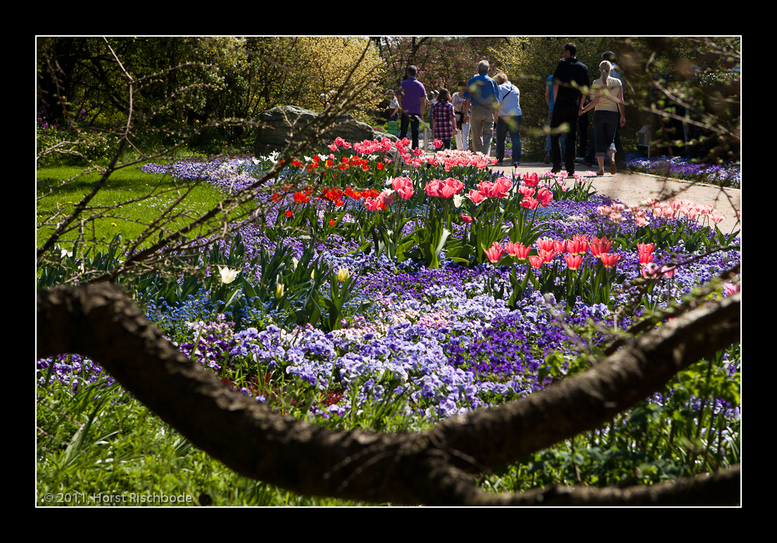 Arboretum Ellerhoop, Schleswig-Holstein