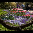 Arboretum Ellerhoop, Schleswig-Holstein