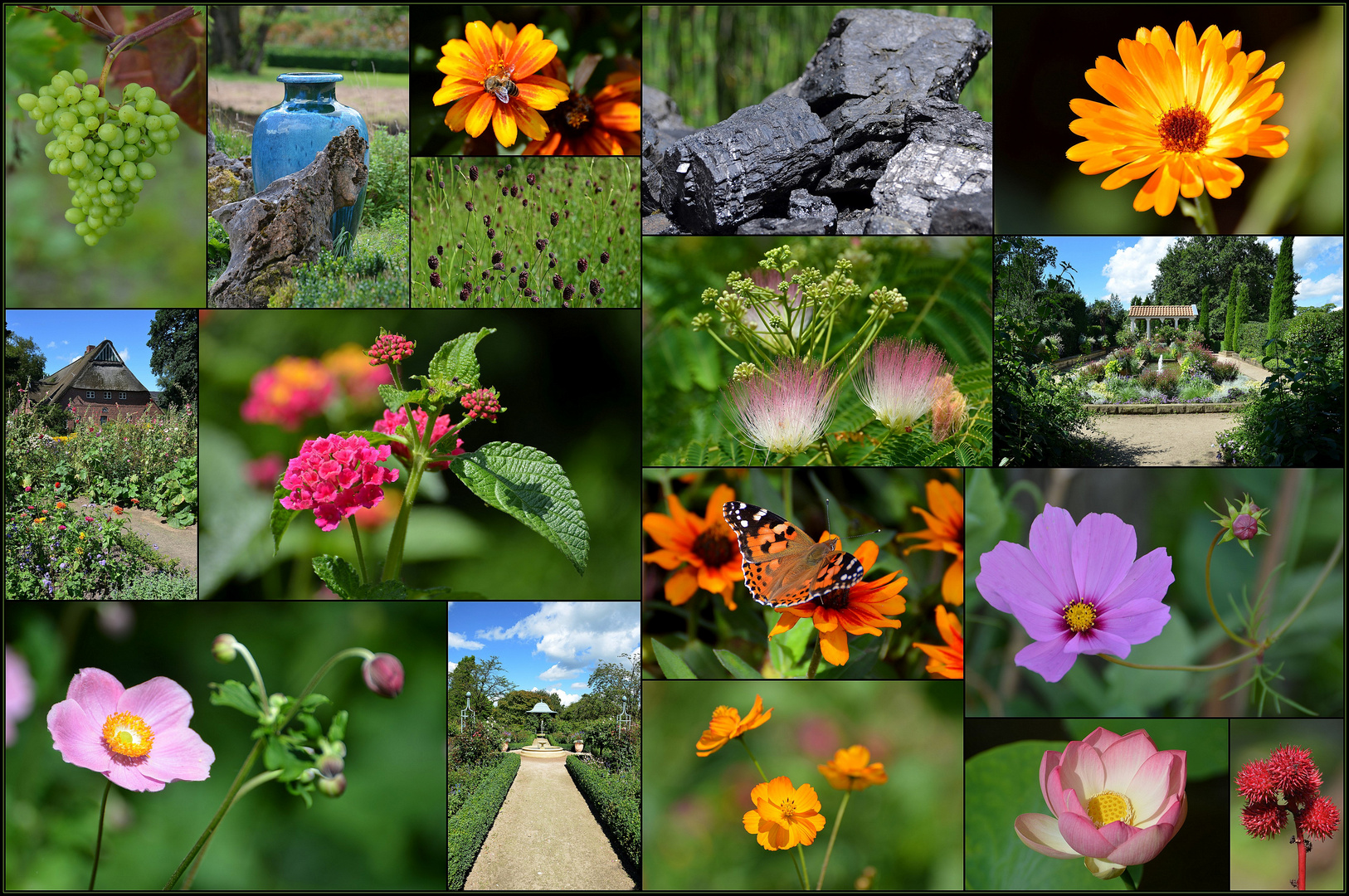 Arboretum EllerhoopThiensen 2016 Foto & Bild natur, blumen, pflanzen