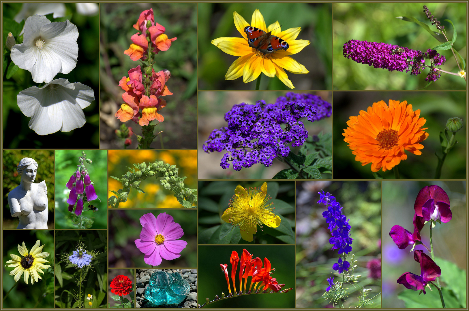 Arboretum EllerhoopThiensen 2018 Foto & Bild fotos, youth, natur