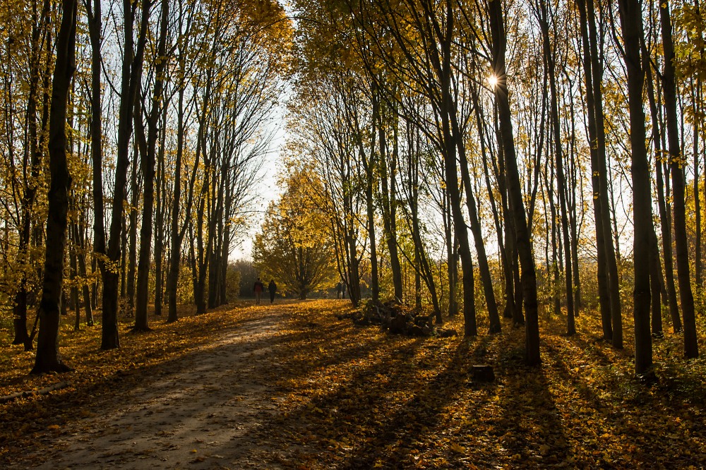 Arboretum Eschborn