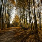 Arboretum Eschborn