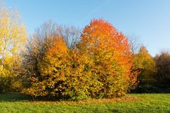 Arboretum Eschborn 3