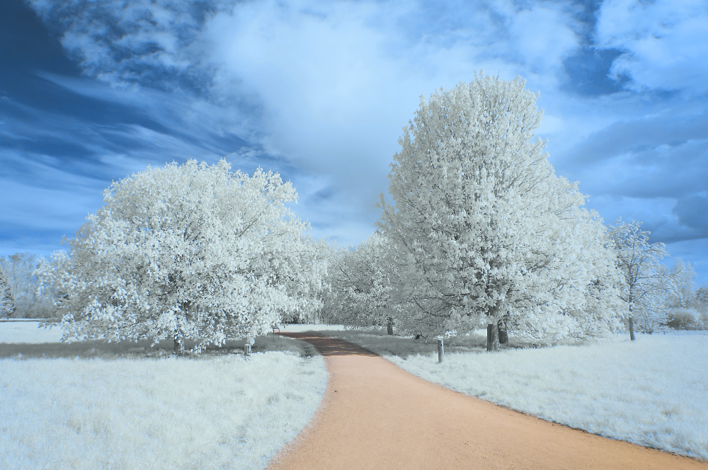 Arboretum Eschborn