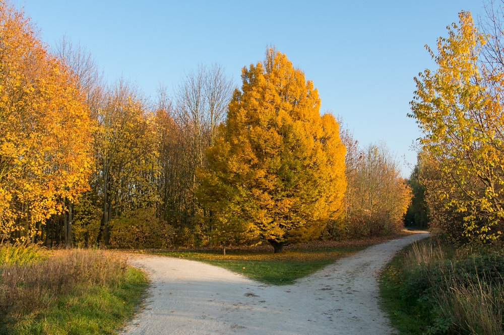 Arboretum Eschborn 6