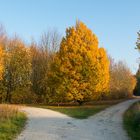 Arboretum Eschborn 6