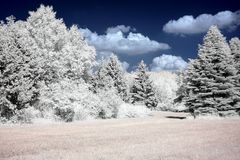 Arboretum Eschborn