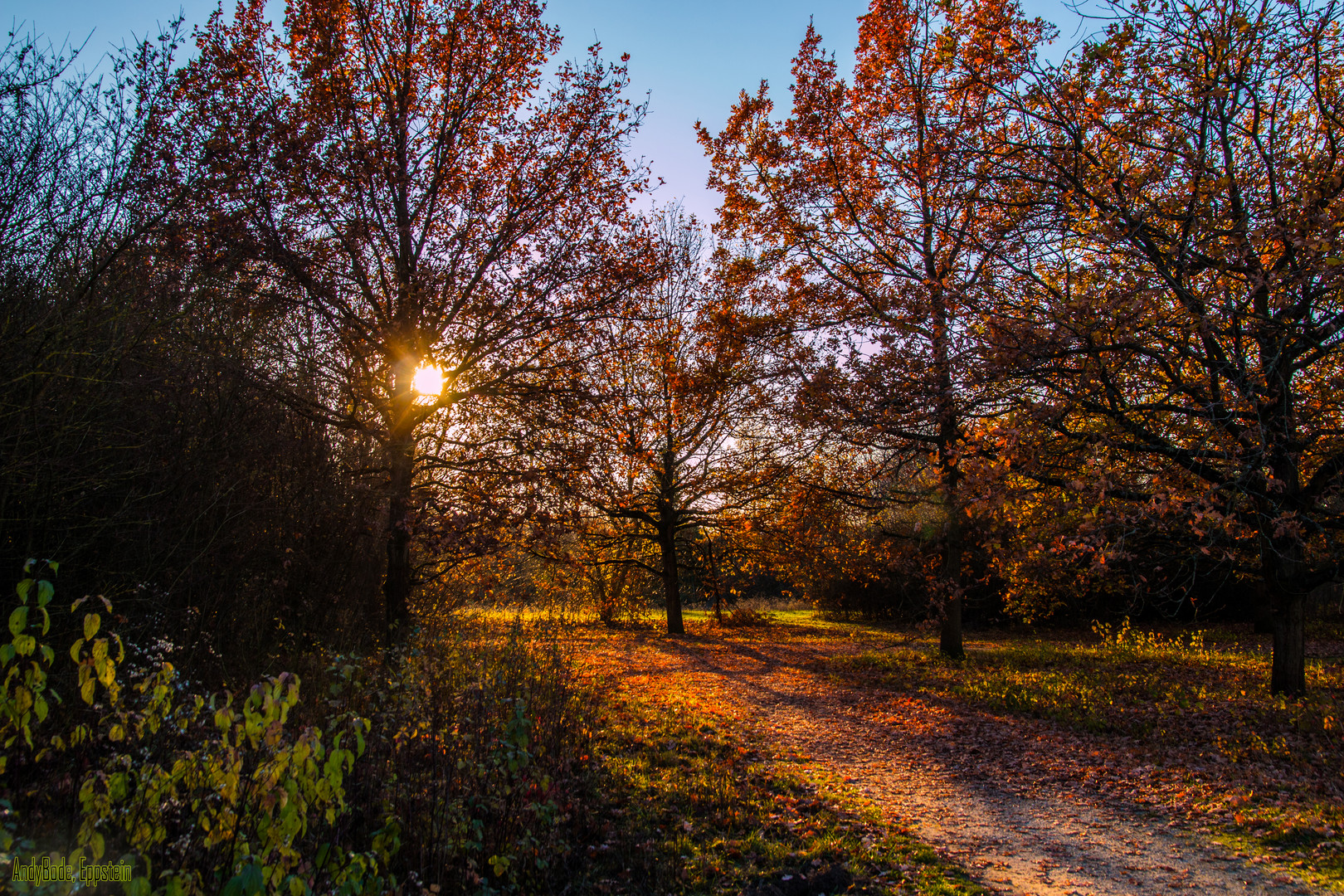 Arboretum I