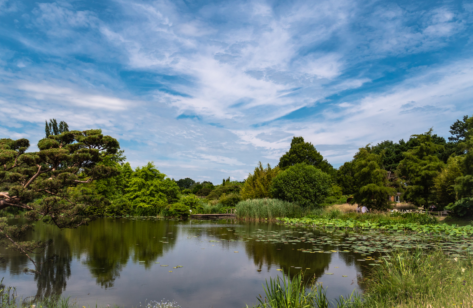 Arboretum in Ellerhoop (2)