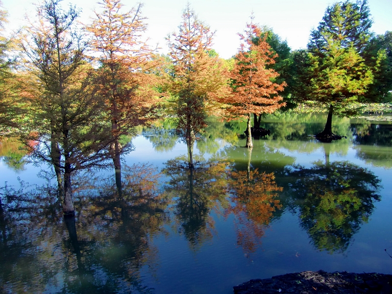 Arboretum in Ellerhoop b. Elmshorn