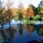 Arboretum in Ellerhoop b. Elmshorn