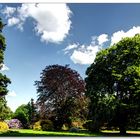 Arboretum Ohrbergpark