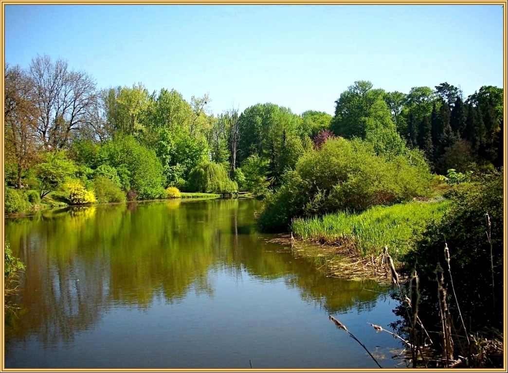 Arboretum Przelewice