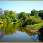 Arboretum Przelewice