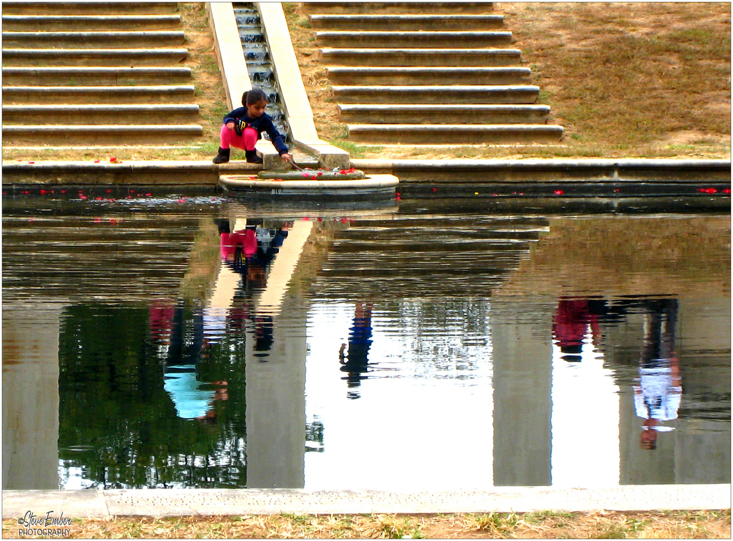 Arboretum Reflections - A Washington Moment