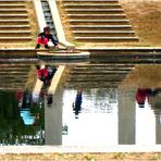 Arboretum Reflections - A Washington Moment