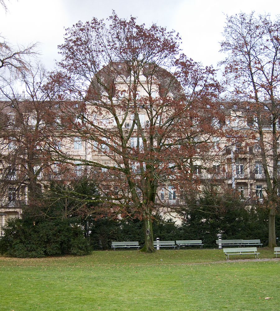 Arboretum/General-Guisain-Quai, Zürich