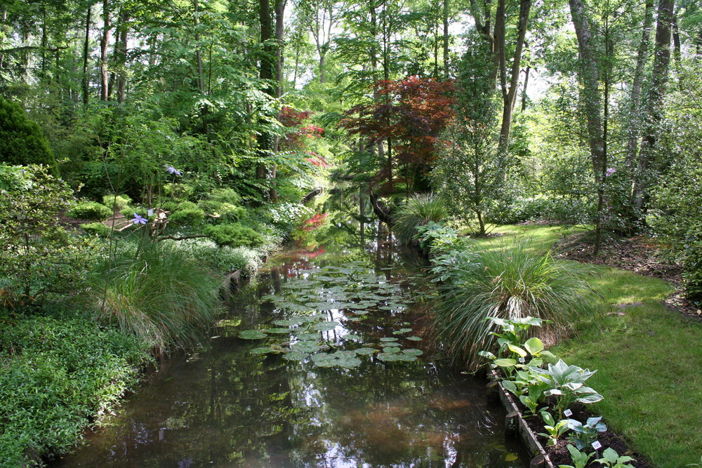 Arborium de Meung-sur-Loire 3 ( Loiret )