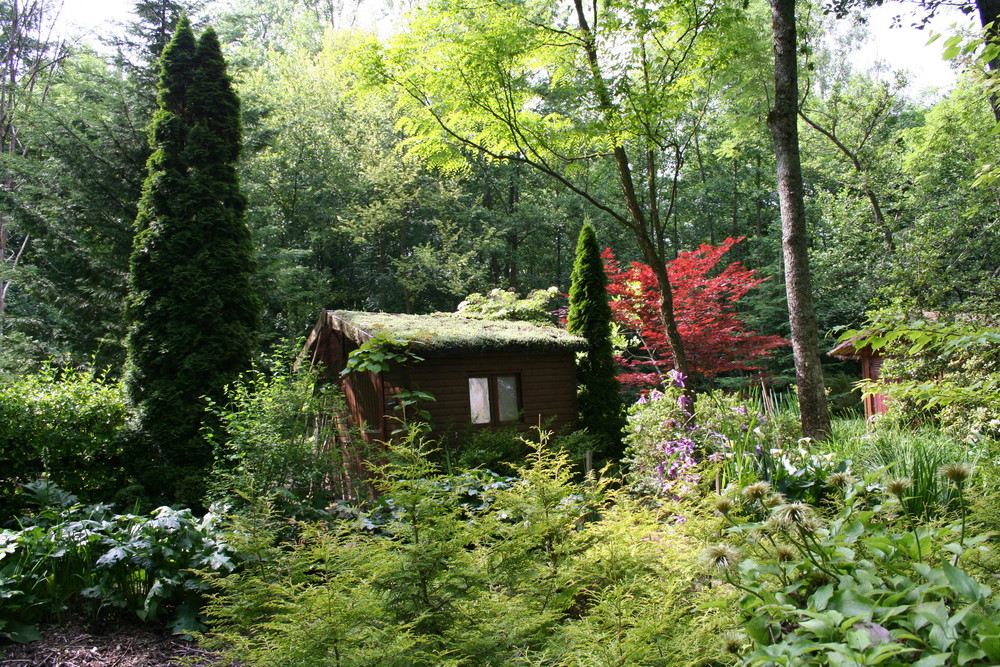 Arborium de Meung-sur-Loire ( Loiret )