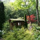 Arborium de Meung-sur-Loire ( Loiret )