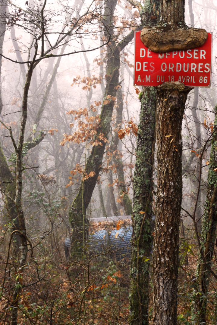 arbre canibale