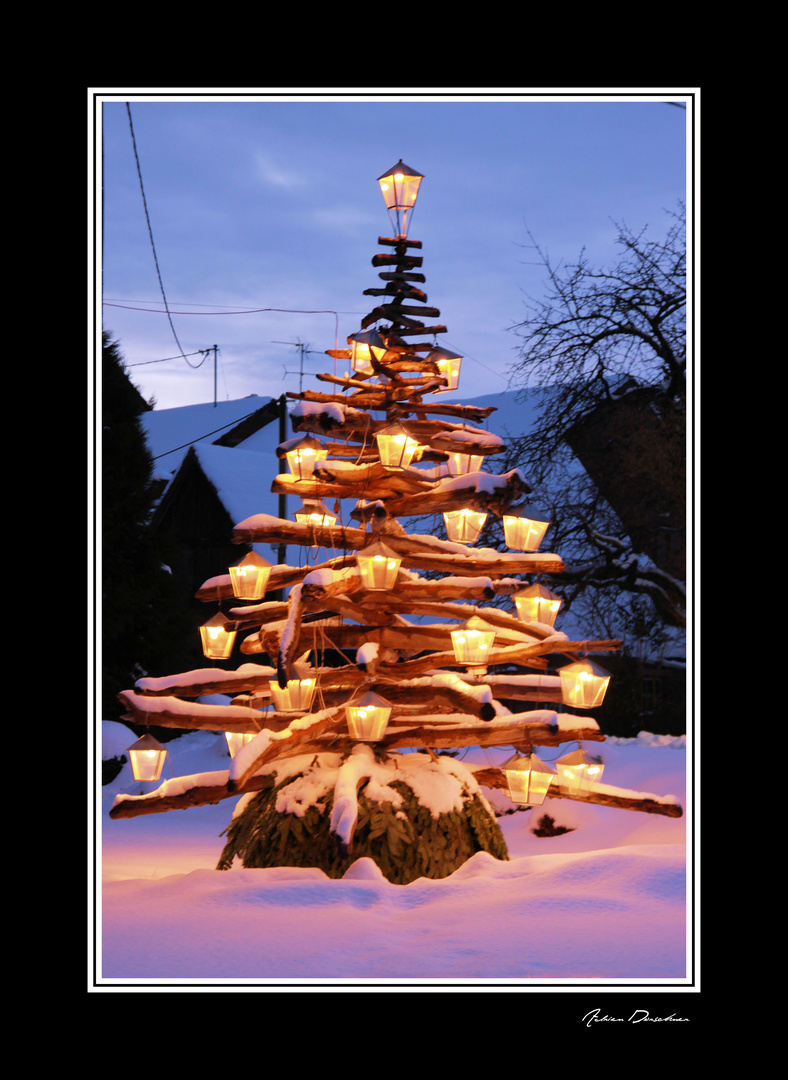 Arbre de Noël photo et image | europe, france, vosges du nord
