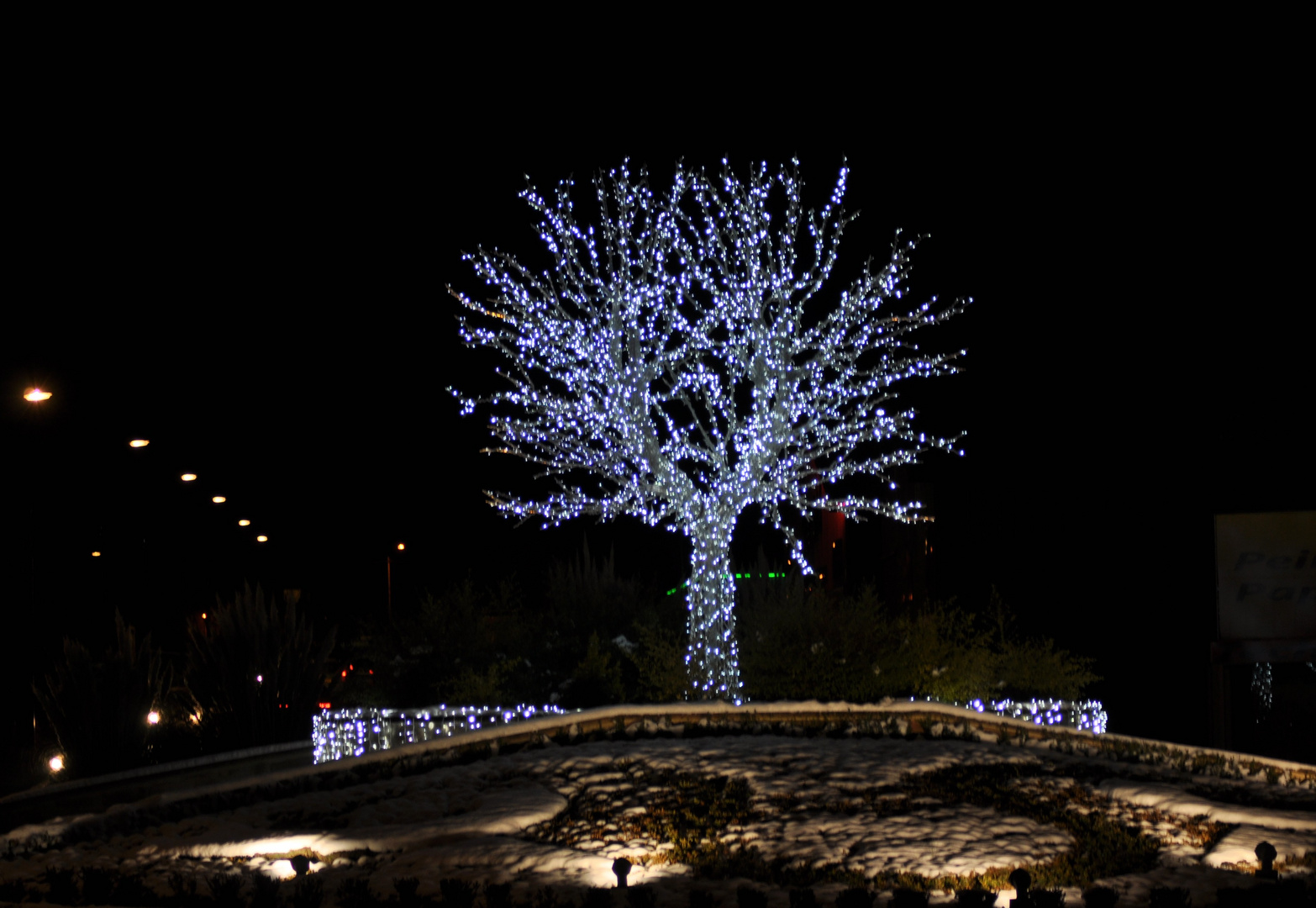 arbre de noel