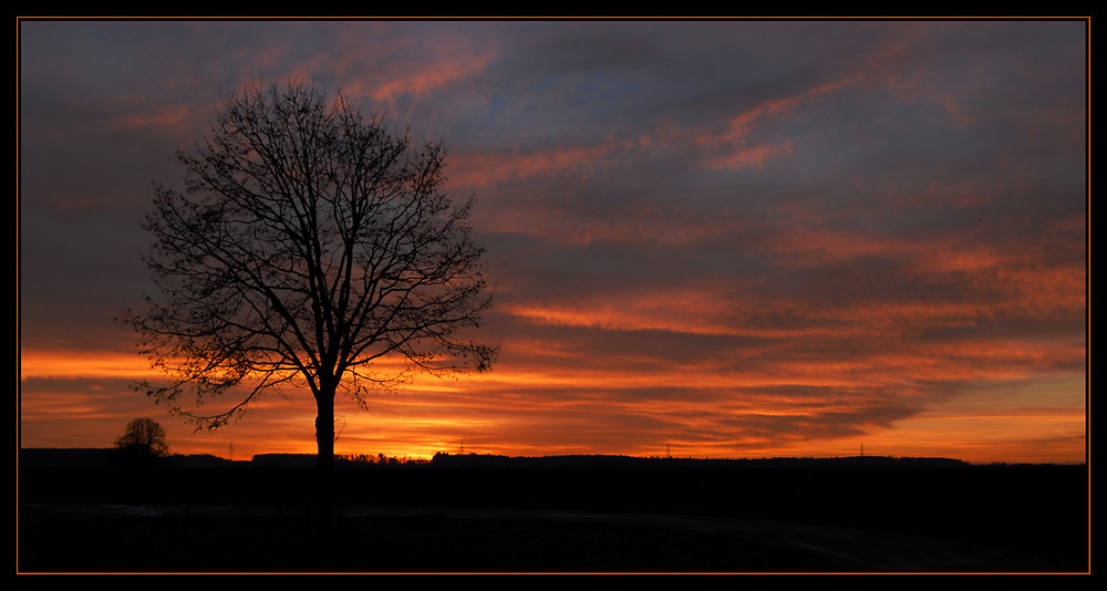 Arbre de vie - Lebensbaum