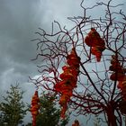 arbre du monde et pendentifs