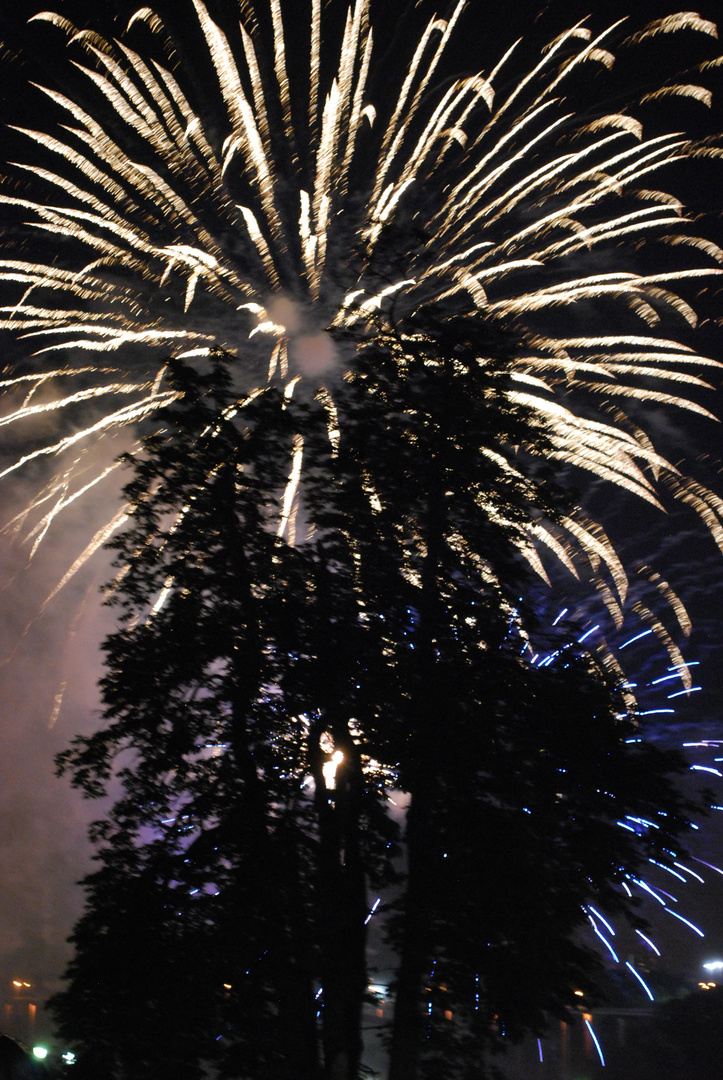 Arbre en feu... d'artifice !