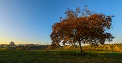 arbre magique