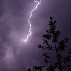 Arbre sous une pluie d'éclairs