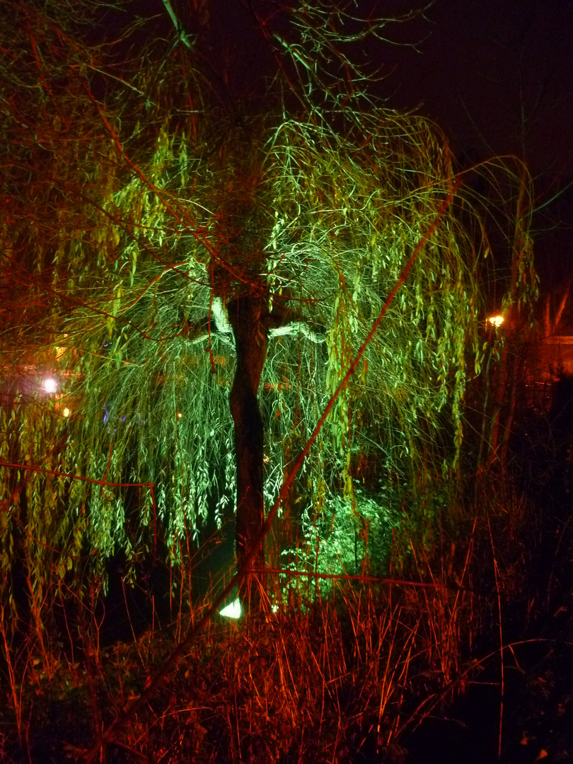 Arbre vert