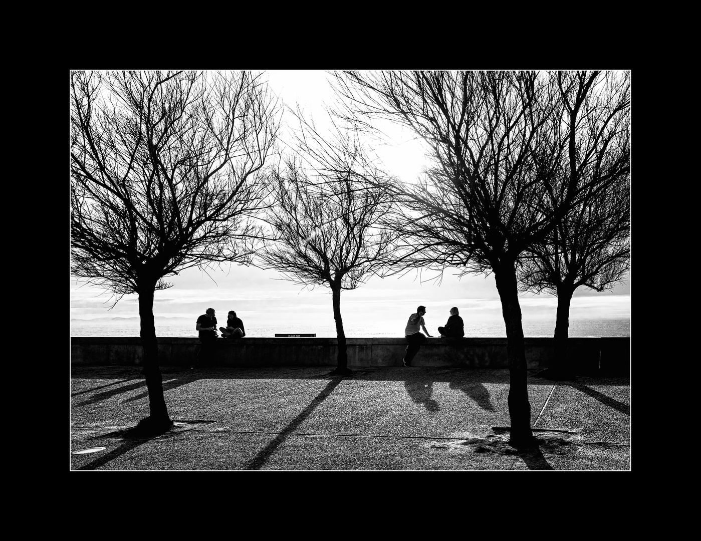 Arbres à palabres