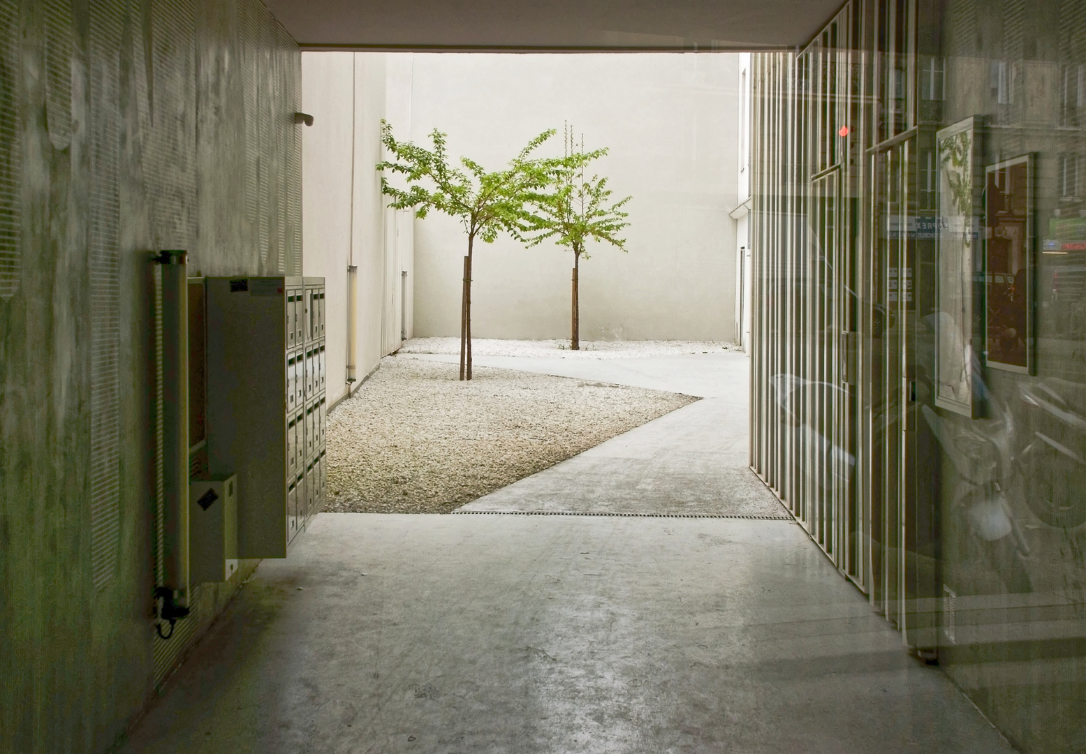 Arbres dans la ville - cour aménagée