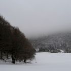 Arbres et nuages suite