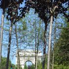 Arc de Triomphe bucolique