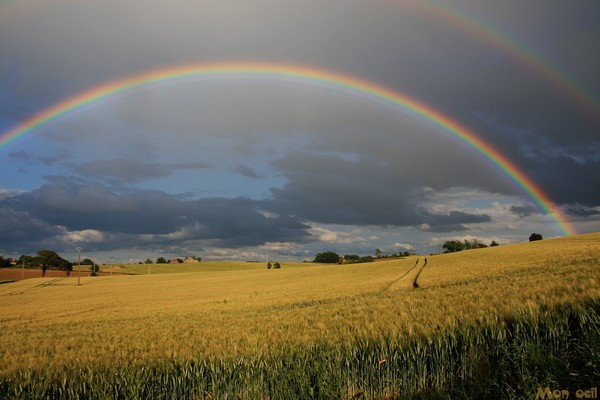 Arc en ciel